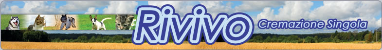 Rivivo